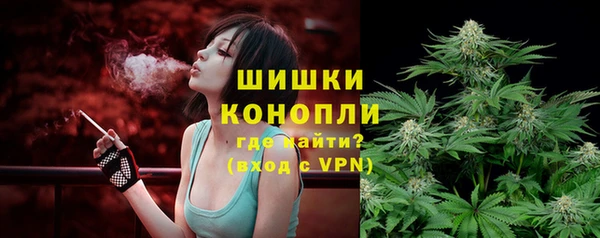 PSILOCYBIN Богородицк